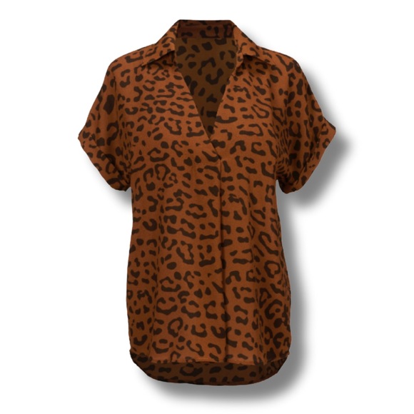 Cabi Replay Top (Leopard Print Short Sleeve Blouse), Style # 4345, size XS - Picture 1 of 13